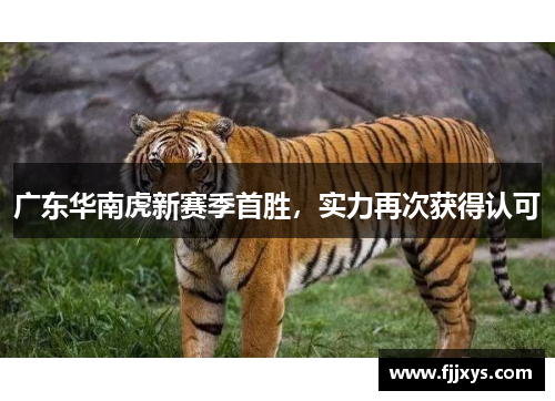 广东华南虎新赛季首胜，实力再次获得认可