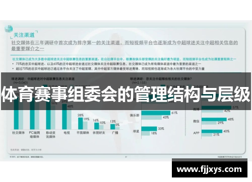 体育赛事组委会的管理结构与层级